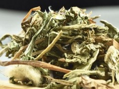 乳腺结节吃什么散结快 多吃这些快速散结节