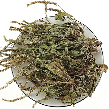 image 车前草