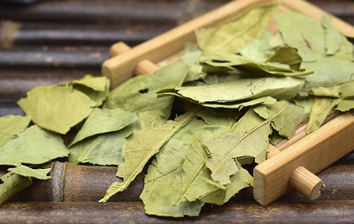 image 金橘叶茶
