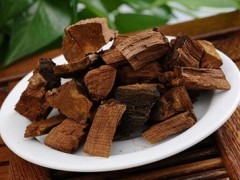 桑树的桑黄有什么功效与作用 介绍桑树桑黄的5个好处