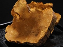 桑黄的功效及食用方法有哪些 3大主要功效和常见吃法