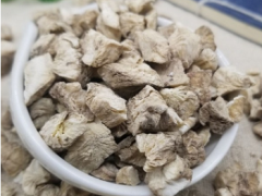 菊苣根有什么功效 常喝菊苣根有4大好处