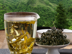 赶黄草有什么坏处 赶黄草的3个坏处与3大功效