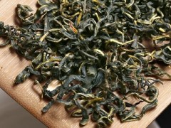 赶黄草有哪些危害 3个赶黄草的危害需注意