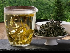 赶黄草有哪些功效与作用 赶黄草的禁忌是什么