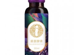 桑葚酵素有什么功效与作用 亲自体验有6大功效