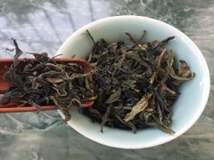 土山茶有什么功效与作用 介绍土山茶的三大功效