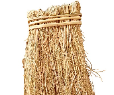丝线草