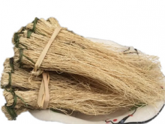 养肝草的图片及功效 带你认识了解养肝草