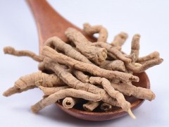 远志肉有什么功效与作用及禁忌症 远志的2大主要功效和禁忌要知道