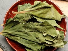 打霜后的柿子叶有什么功效 霜打柿子叶有5个功效