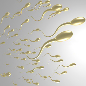 image 精子