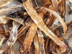 地龙的主要功效有哪些 地龙五大功效要知道详