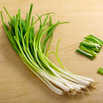 小葱