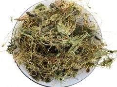 紫花地丁的功效与用法有哪些 介绍3大功效和3个常见用法
