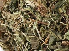 紫花地丁有什么功效与作用 详解它的三大作用