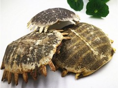 鳖甲有什么功效与作用 盘点鳖甲的5大功效
