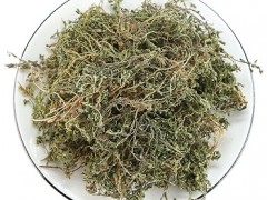 鹅不食草的作用及禁忌有哪些 4大作用和2大禁忌要了解
