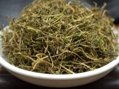 鹅不食草有什么功效与作用 揭秘它的四大神奇功效