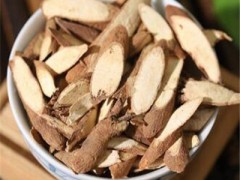植物一条根有什么功效与作用 详解它的4个主要作用