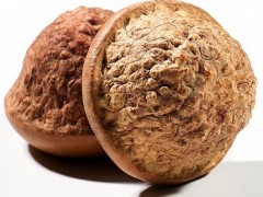 龟头果泡酒有什么功效 泡酒喝有三个功效