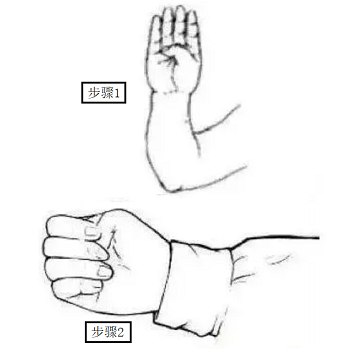 image 握固的锻炼方法图解