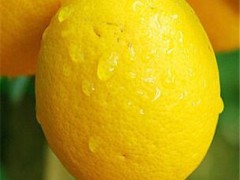 最实用的牙黄变白方法有哪些 三个方法祛牙黄很不错