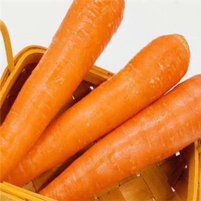 image 胡萝卜