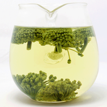 image 田七花茶