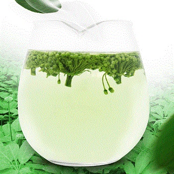 image 田七花茶