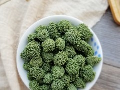 田七花茶的功效与作用禁忌有哪些 四大功效和四个禁忌要了解