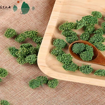 image 三七花