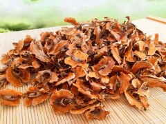 分心木是什么 带你看图认识分心木和它的性状
