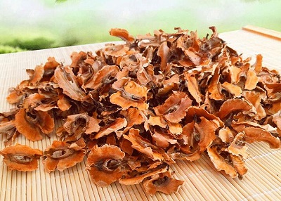 核桃分心木