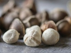 辣木籽的功效与作用有哪些 详解辣木籽的5大功效