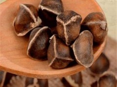 吃了辣木籽的5种反应 出现5种口感反应要警惕