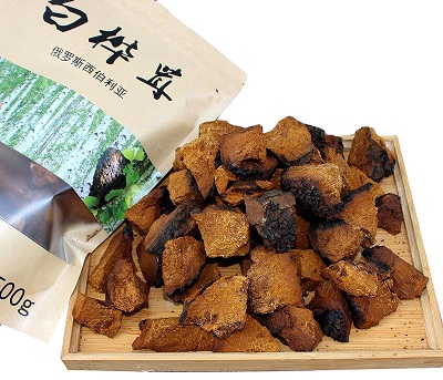 桦树茸