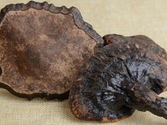 哪些人不适合喝灵芝水 三类人群千万别喝灵芝水