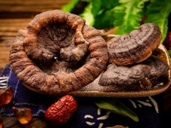 灵芝的功效与作用和吃法 介绍灵芝3大功效和2种吃法