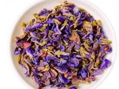 葛花和紫藤的区别图片 介绍葛花和紫藤的两大区别