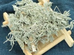 茵陈泡水喝有啥好处 泡水喝对人体的三大好处