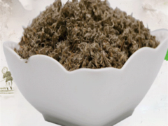 茵陈水的功效与作用 茵陈水的5大功效需知道