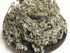 茵陈的功效与作用 茵陈的四大功效要知道