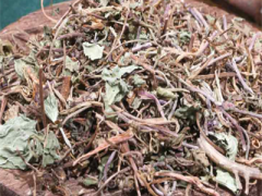 积雪草的护肤功效 详解积雪草护肤的4个功效