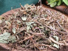 积雪草的副作用 积雪草怎么吃？