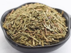 中药侧柏叶的功效 揭秘侧柏叶的四大功效