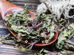 肾草茶功效和副作用 带你了解肾草茶