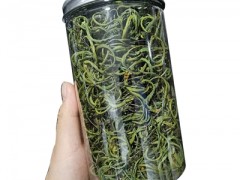 肾精草功效与作用 肾精草的用法用量