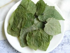 淫羊藿泡酒配方 推荐2种泡酒配方