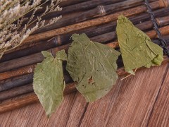 羊藿的功效与作用 羊藿的三大功效不能忘
